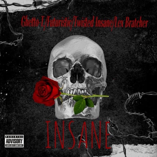 Insane cover art