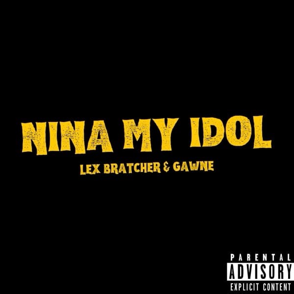 Nina My Idol cover art