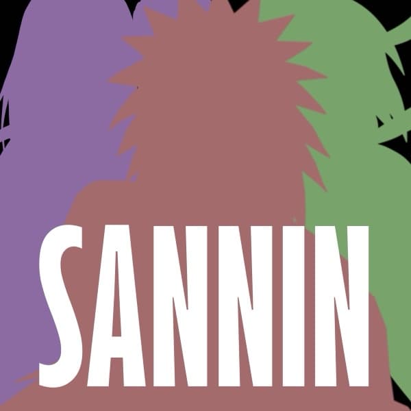 Sannin cover art